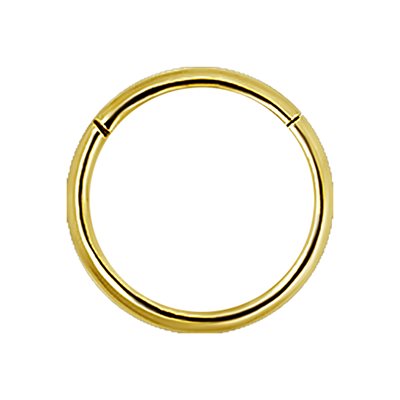 24k gold plated hinged segment ring