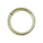 Zircon gold steel hinged segment ring