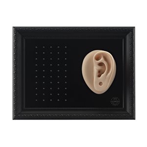 50pcs tattooable ear display for 16G internal attachments